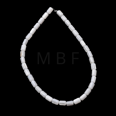 Natural Freshwater Shell Beads Strands SH-CBA2978-21A-1