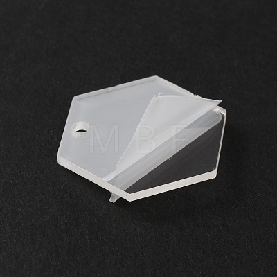 Transparent Acrylic Pendants TACR-WH0001-70-1