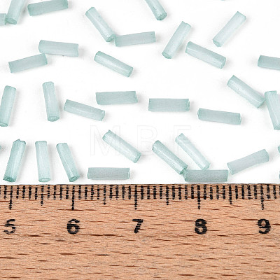 Glass Bugle Beads X-SEED-N007-28F-1