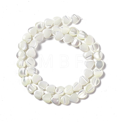 Natural Trochid Shell/Trochus Shell Beads Strands SHEL-F003-09-1