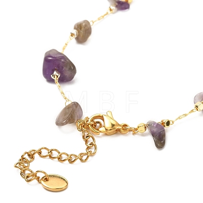 Natural Amethyst Chip Beaded Necklace for Girl Women NJEW-JN03708-01-1