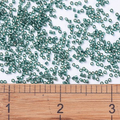 MIYUKI Delica Beads SEED-X0054-DB0607-1