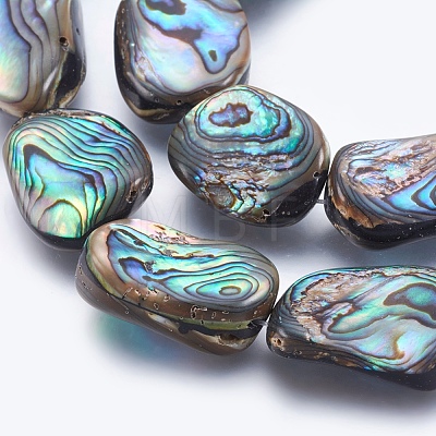 Natural Abalone Shell/Paua Shell Shell Beads Strands SSHEL-P014-05-1