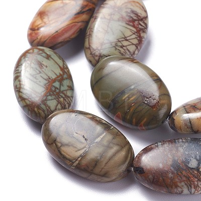 Natural Picasso Jasper Bead Strands G-P444-02-1