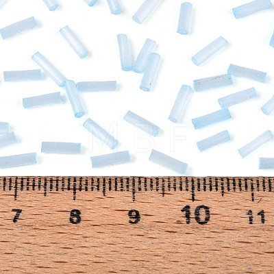 Glass Bugle Beads SEED-N007-28H-1