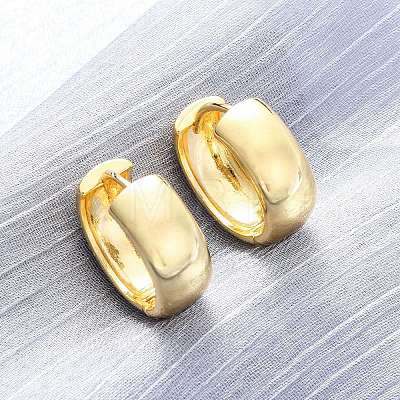 Brass Hoop Earrings EJEW-Q015-21A-G-1