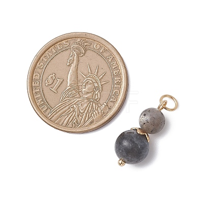 3Pcs 3 Styles Natural Lava Rock & Larvikite & Golden Sheen Obsidian Round Beaded Pendants PALLOY-JF04701-07-1
