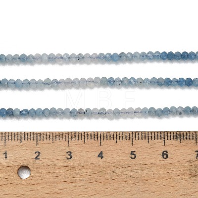 Natural Devil Blue Aquamarine Beads Strands G-NH0072-A01-01-1