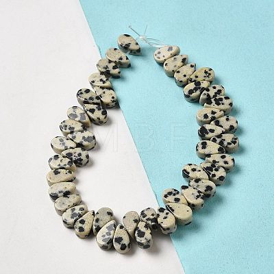 Natural Dalmatian Jasper Beads Strands G-B064-B11-1