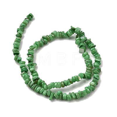 Natural Freshwater Shell Beads SHEL-B003-01E-1