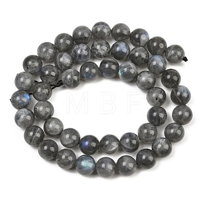 Natural Labradorite Beads Strands G-P336-19-8mm-01-1