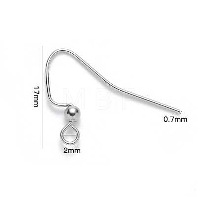 304 Stainless Steel Earring Hooks STAS-S111-010-1