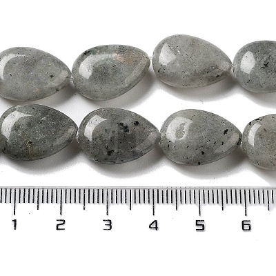 Natural Labradorite Beads Strands G-P528-L03-01-1