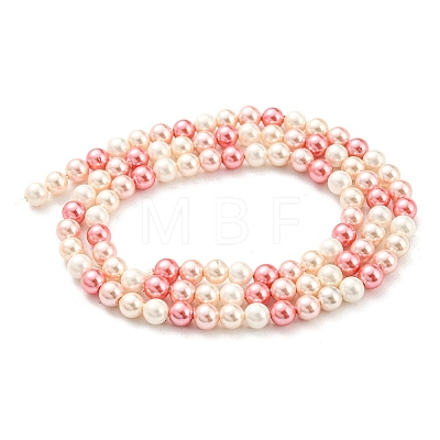 Electroplated Natural Shell Beads Strands SHEL-F008-03A-10-1
