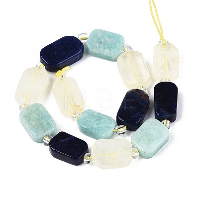 Natural Sodalite & Flower Amazonite & Lemon Quartz Beads Strands G-N358-02A-07-1
