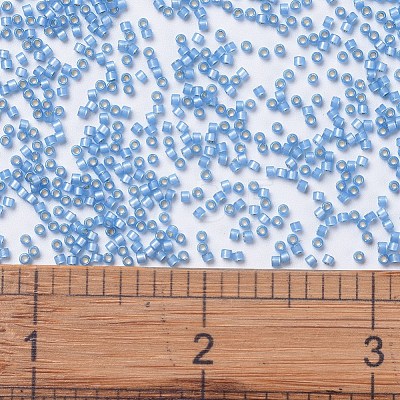 MIYUKI Delica Beads SEED-J020-DB2176-1