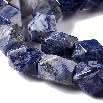 Natural Sodalite Beads Strands G-L235A-15-1