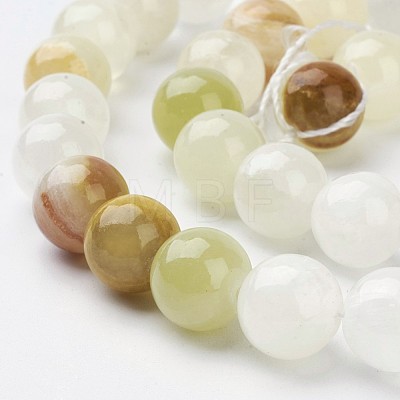 Natural Gemstone Beads Strands X-GSR10mmC008-1