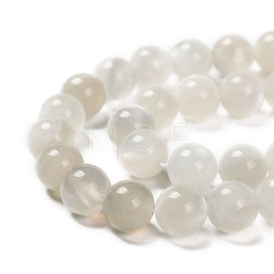 Natural White Moonstone Beads Strands G-J373-13-8mm-1