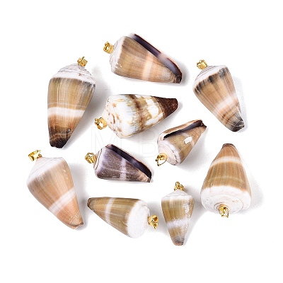 Brass & Natural Cone Shell Pendants SHEL-Q029-20-01KCG-1