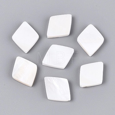 Natural Freshwater Shell Beads BSHE-T014-46-1
