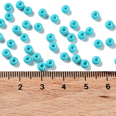 Baking Paint Glass Seed Beads SEED-H002-I-A507-1