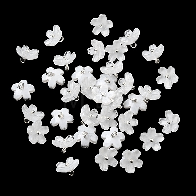 Glass Charms GLAA-G127-05J-1