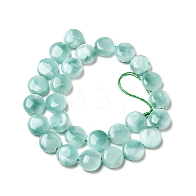 Natural Glass Beads Strands G-I247-28C-1