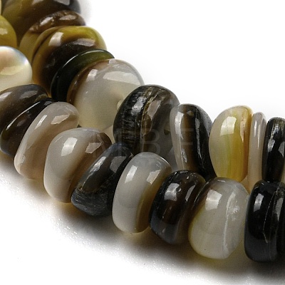 Natural Black Lip Shell Beads Strands BSHE-Z005-06-1