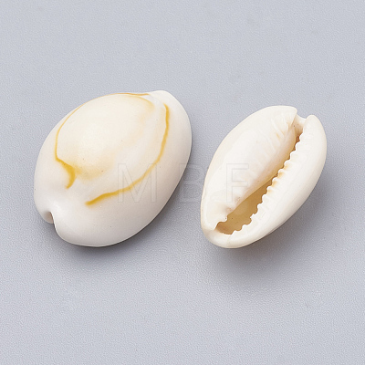 Natural Cowrie Shell Beads X-SSHEL-T004-07-1