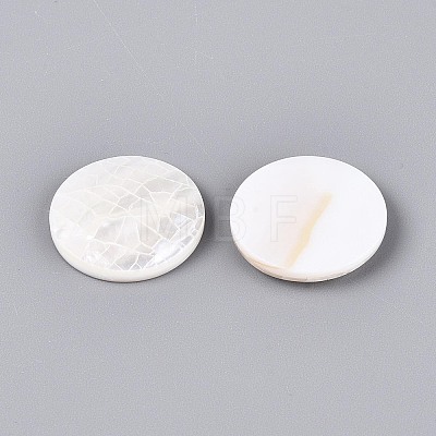 Natural White Shell Cabochons BSHE-T014-49-1
