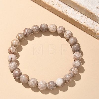 Natural Maifanite/Maifan Stone Bead Stretch Bracelets BJEW-K212-B-044-1