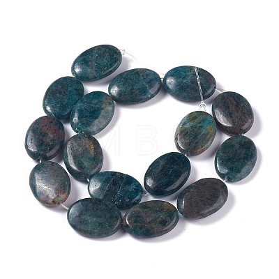 Natural Apatite Beads Strands G-H242-05-1