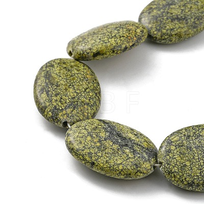 Natural Serpentine/Green Lace Stone Beads Strands G-P469-02-1