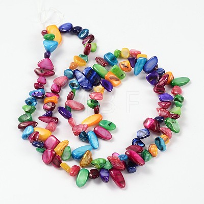 Natural Freshwater Shell Beads Strands S23YB011-1