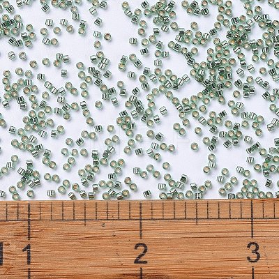 MIYUKI Delica Beads SEED-J020-DB2165-1