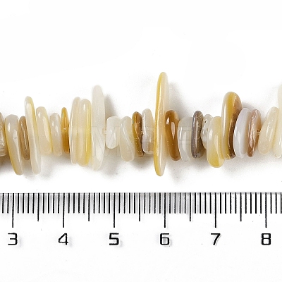 Natural Trochus Shell Beads Strands BSHE-H109-08-1