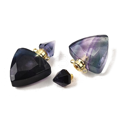 Natural Fluorite Perfume Bottle Pendants G-L623-10G-03-1
