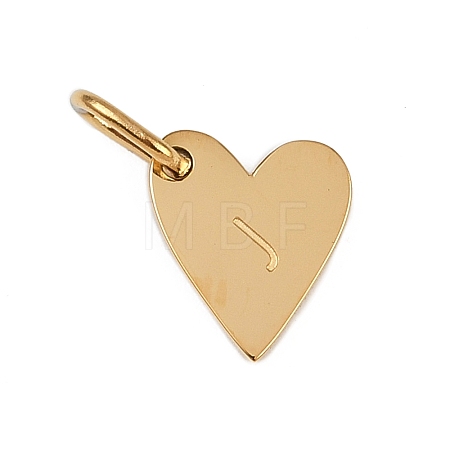 304 Stainless Steel Charms STAS-L291-01G-J-1