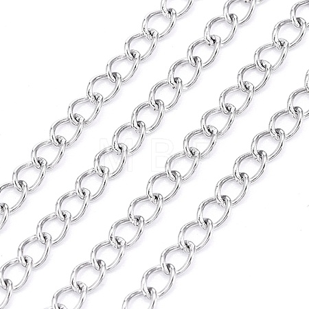 Non-Tarnish 3.28 Feet 304 Stainless Steel Curb Chains X-CHS-F006-04A-P-1