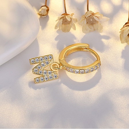 Brass Micro Pave Clear Cubic Zirconia Hoop Earrings WGE85EC-13-1