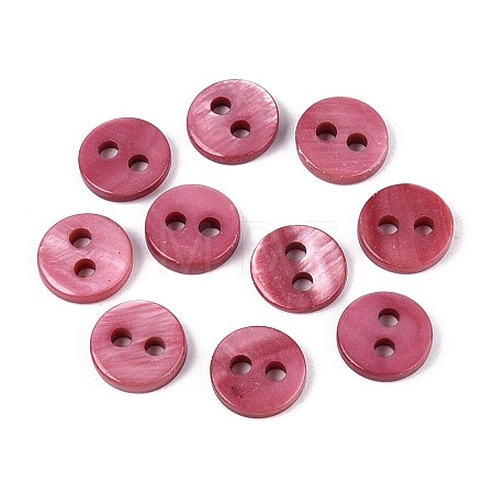 Natural Freshwater Shell Buttons SHEL-N038-21-1