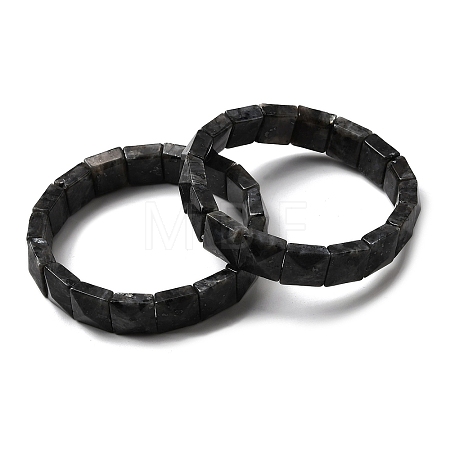Natural Larvikite Beads Stretch Bracelets for Women Men BJEW-C097-06-06-1