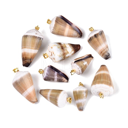 Brass & Natural Cone Shell Pendants SHEL-Q029-20-01KCG-1