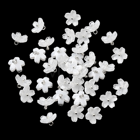 Glass Charms GLAA-G127-05J-1