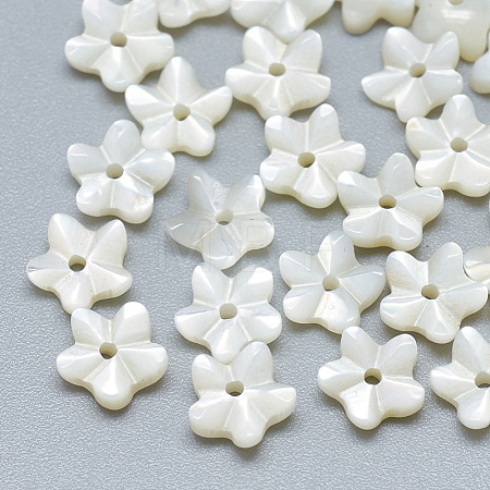 Natural White Shell Beads SSHEL-S260-005-1