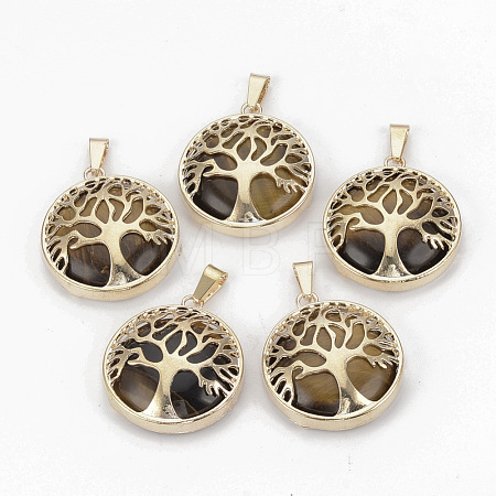 Natural Tiger Eye Pendants G-S292-10E-G-1