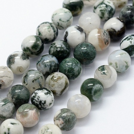 Natural Tree Agate Beads Strands X-G-I199-03-8mm-1