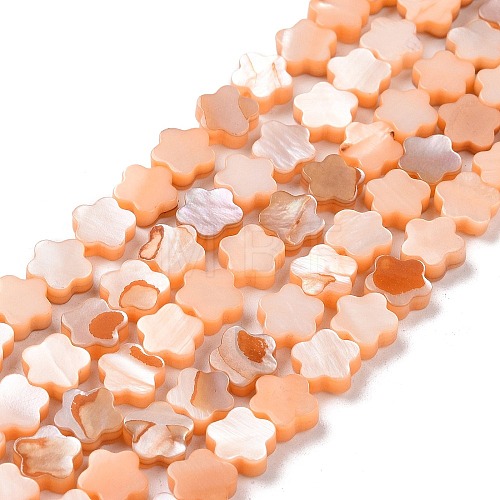 Natural Freshwater Shell Beads Strands SHEL-H002-03C-1