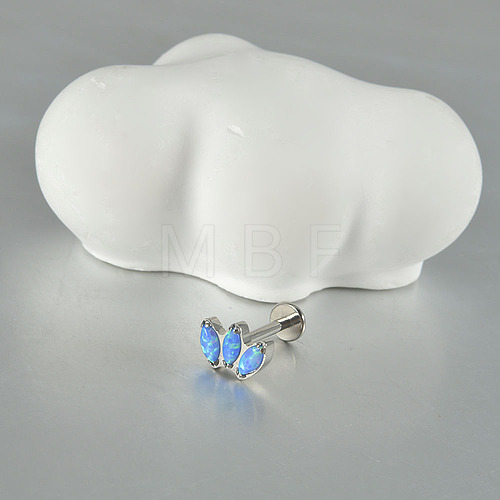 G23 Titanium Alloy Cartilage Earrings WG58240-17-1